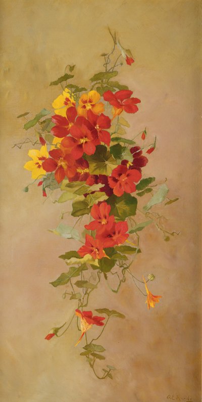 Nasturzi da Anna Eliza Hardy