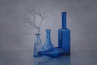 Bottiglie blu e rami da Anna Klinkosz