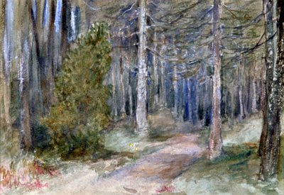 In un bosco da Anna Lea Merritt