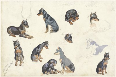 Studi di un cane da Anna Maria Kruijff