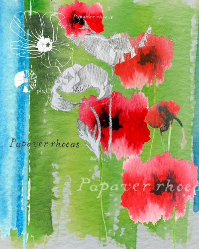 Papavero da Anna Platts