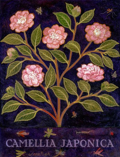  da Anna Pugh