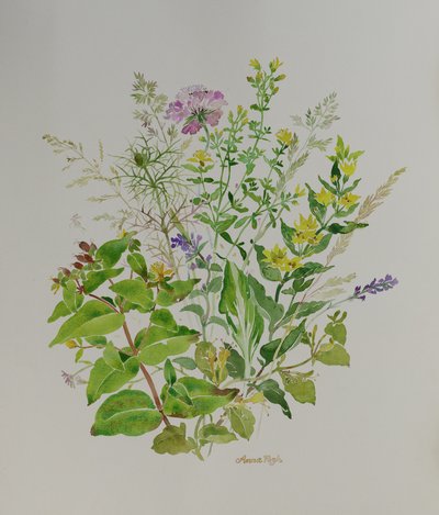 Natura morta di fiori 4, 2021 (pittura) da Anna Pugh