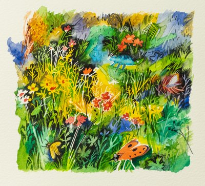Insetti dei prati, 2023 (acquerello) da Anna Pugh