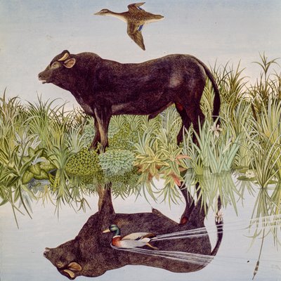 Riflettendo, 2004 (acrilico) da Anna Pugh