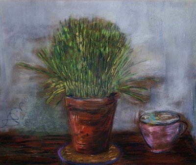 Erba gatta da Anna de Noailles