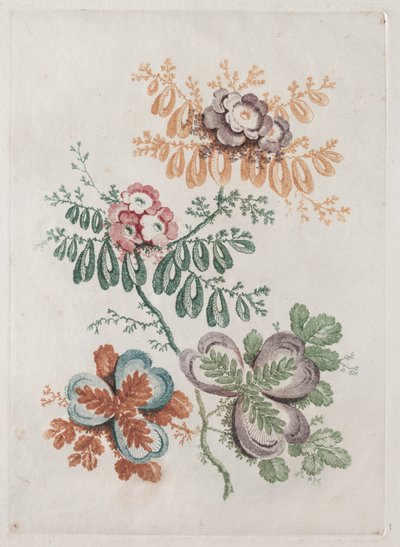 Nuova Serie di Portfolio di Fiori Ideali per il Design e la Pittura: Fantasie Floreali da Anne Allen
