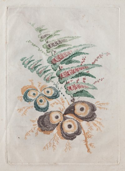 Nuova Serie di Portfolio di Fiori Ideali per il Design e la Pittura: Fantasie Floreali da Anne Allen
