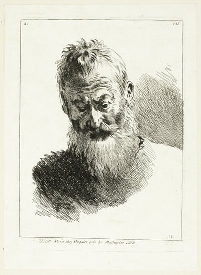Testa dell
