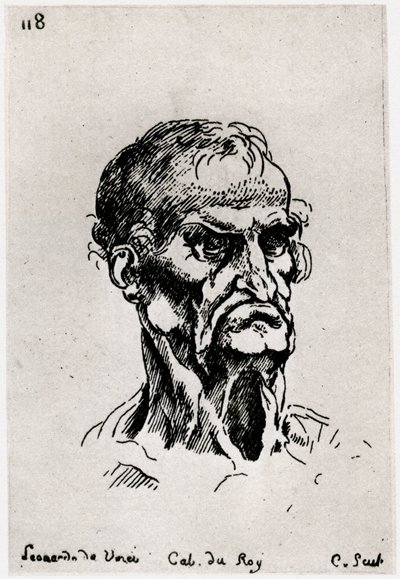 Disegno dopo Leonardo da Vinci, c1710-1765 1924 da Anne Claude Philippe de Caylus