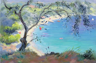 Baia di Lichnos, Epiro, Grecia, 1995 da Anne Durham