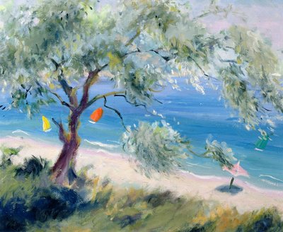 Vista su una Spiaggia da Anne Durham