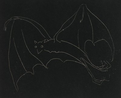 Serie Notturna: Il pipistrello da Anne Goldthwaite