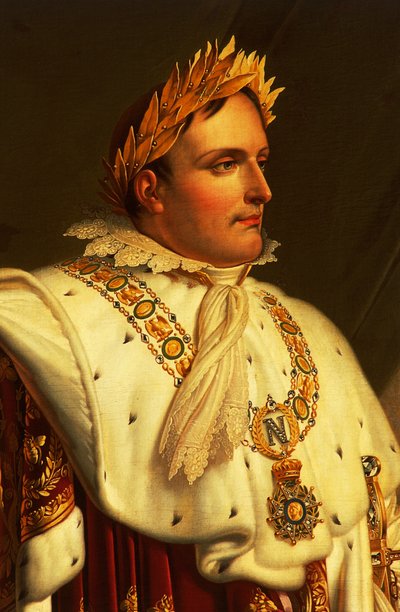 Ritratto di Napoleone Bonaparte da Anne Louis Girodet de Roucy Trioson