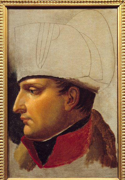 Ritratto di Napoleone I, studio per la consegna delle chiavi della città di Vienna il 13 novembre da Anne Louis Girodet de Roucy Trioson