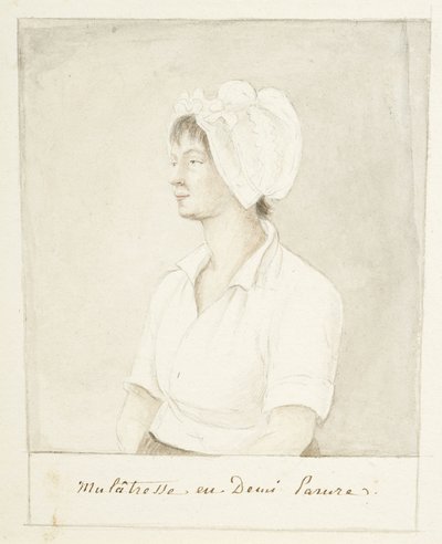 Ritratto di una ragazza mulatta da Anne Marguerite Hyde de Neuville
