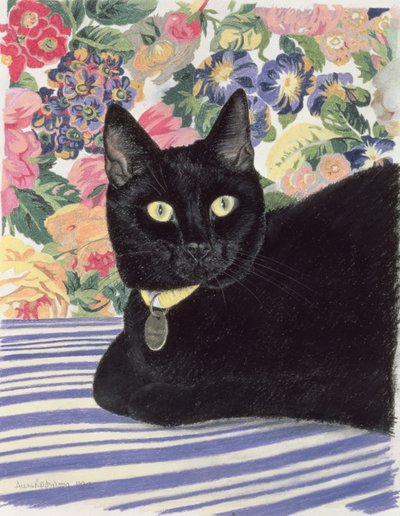 Gatto nero da Anne Robinson