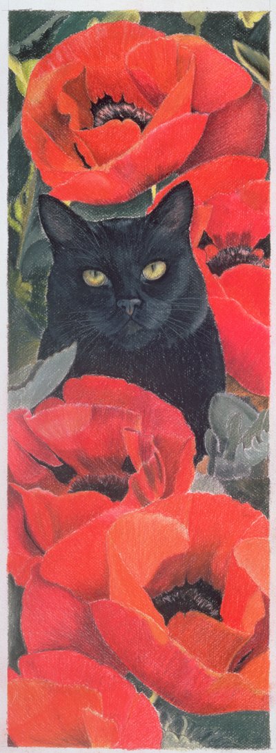 Gatto nero con papaveri da Anne Robinson
