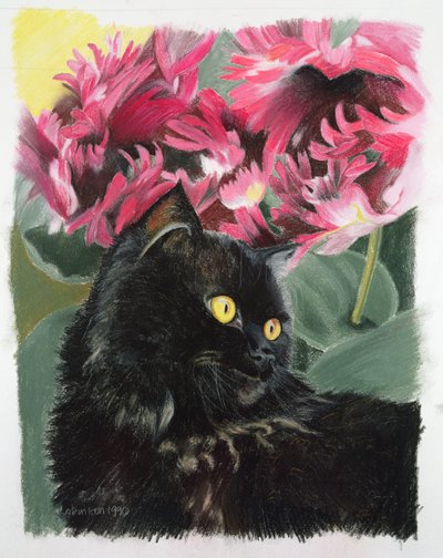 Tulipani neri da Anne Robinson