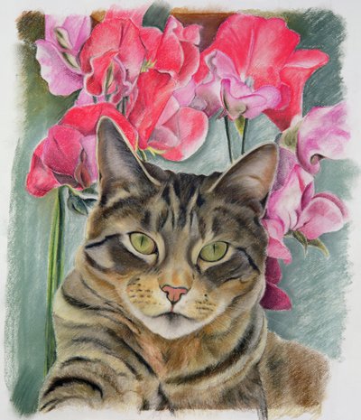Gatto con piselli dolci da Anne Robinson