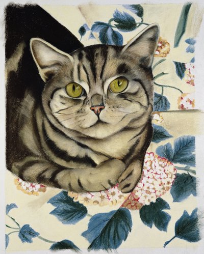 Gatto tigrato da Anne Robinson