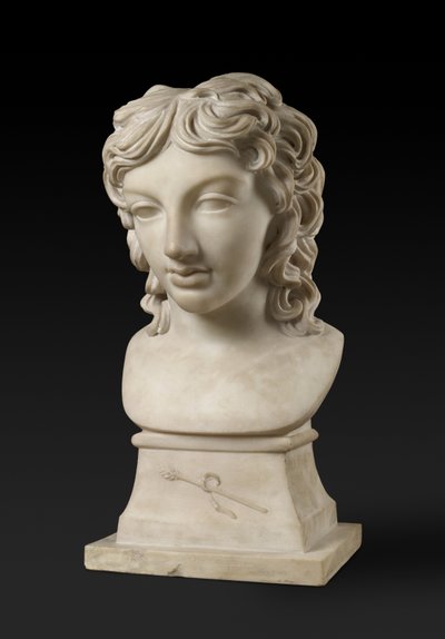 Ritratto busto del Principe Henry Lubomirski nel ruolo di Bacco, c. 1787 da Anne Seymour Damer