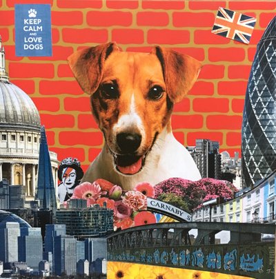 Jack Russel da Anne Storno