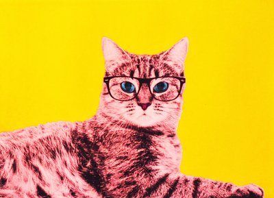 La vita in technicolor, 2017 da Anne Storno