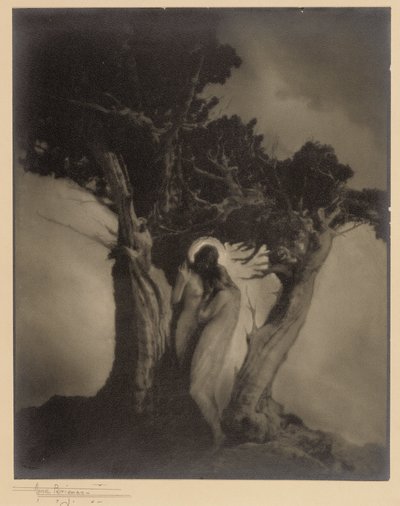 Il cuore della tempesta da Anne W. Brigman