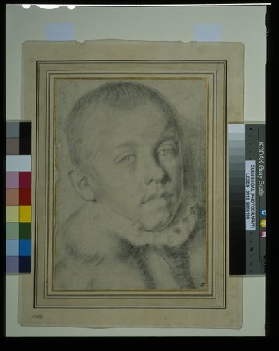 Ritratto di un giovane ragazzo (carboncino e gesso nero su carta) da Annibale (follower of) Carracci