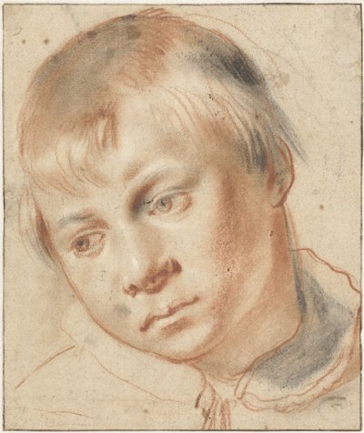Studio della testa di un ragazzo da Annibale Carracci (attributed to)
