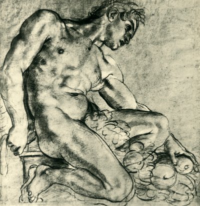 Un Ignudo seduto con una ghirlanda, 1598-1599 da Annibale Carracci