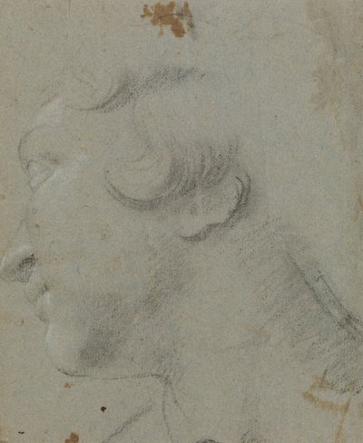 Carracci - r Testa di Santa Caterina, RCIN 902115 da Annibale Carracci