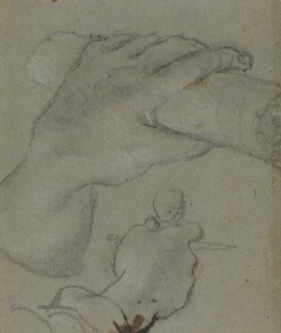 Carracci - v studio per le mani di San Giovanni E, RCIN 902115 da Annibale Carracci