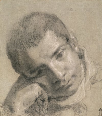 Testa di un giovane da Annibale Carracci