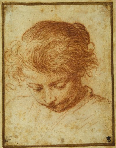 Testa di una giovane ragazza che guarda in basso da Annibale Carracci