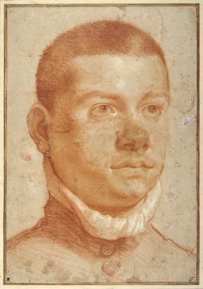 Ritratto di un giovane uomo da Annibale Carracci