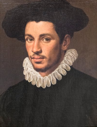 Ritratto di un giovane uomo da Annibale Carracci