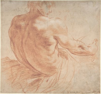 Giovane seduto rivolto a destra, visto da dietro da Annibale Carracci