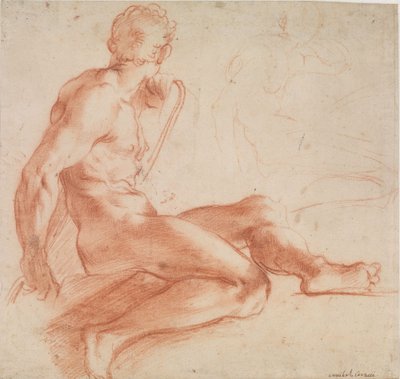 Sitzender männlicher Akt da Annibale Carracci
