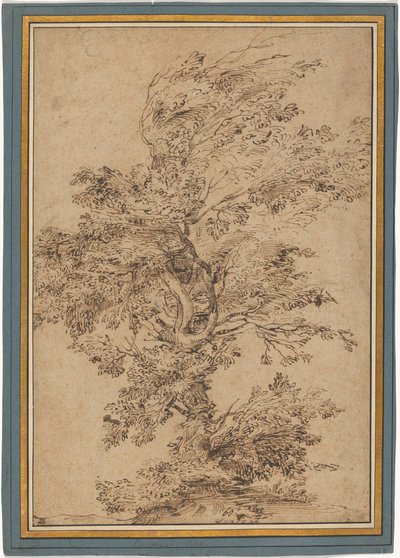 Studie eines Baumes da Annibale Carracci