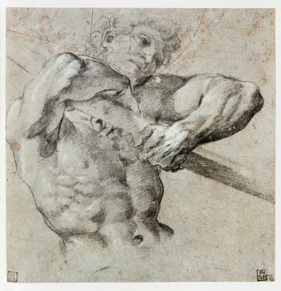 Studio di una figura maschile ... da Annibale Carracci