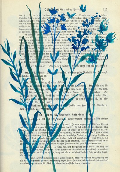 Fiori blu - Testo antico da Annick