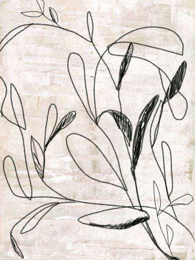 Disegno botanico al tratto da Annick