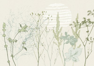 Alba botanica dai toni tenui da Annick
