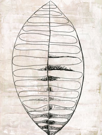 Disegni al tratto di foglie biologiche da Annick
