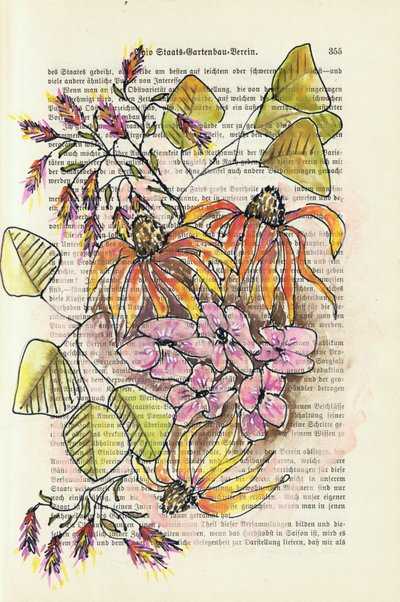 Studio botanico d