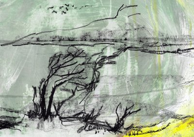 Schizzo di un albero sferzato dal vento da Annick
