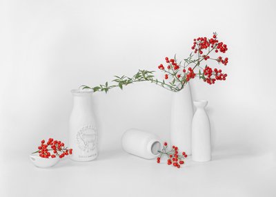 Esposizione minimalista di frutti rossi da Annie Poreider