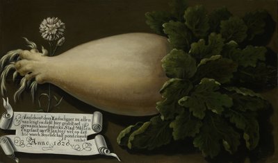 Un ravanello gigante da Anonymous